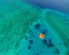 Курорт Манта предлагает частный остров, где вы спите под водой! Курорт Манта предлагает частный остров, где вы спите под водой!